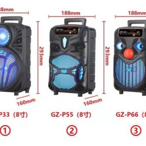 اسپیکر ان دی آر P66